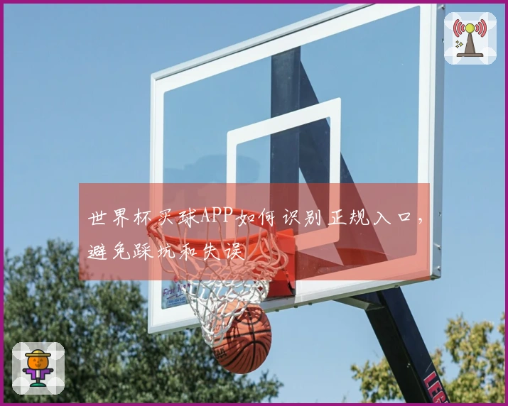 世界杯买球APP如何识别正规入口，避免踩坑和失误