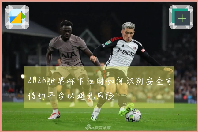 2026世界杯下注时如何识别安全可信的平台以避免风险