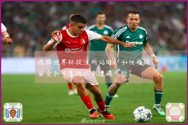 选择世界杯投注网站时，如何确保安全和可靠性以免遭遇风险？