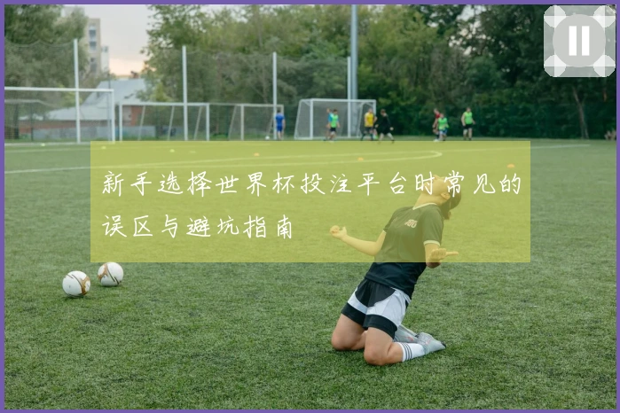新手选择世界杯投注平台时常见的误区与避坑指南